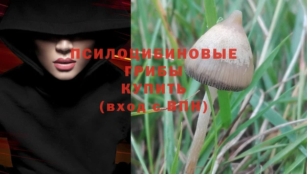 ECSTASY Вязьма