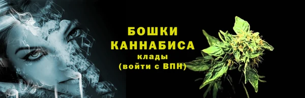 ECSTASY Вязьма
