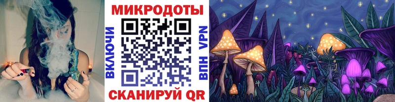 Галлюциногенные грибы Magic Shrooms купить цена Заволжье